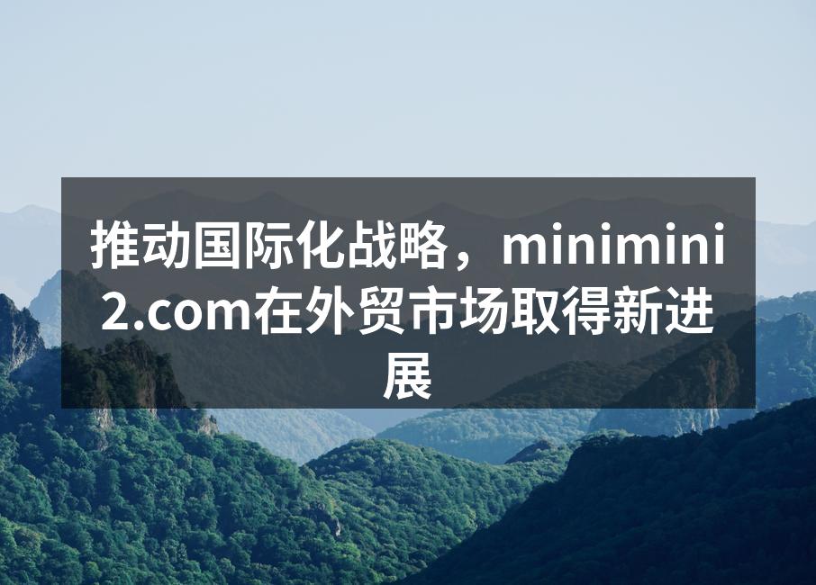 推动国际化战略，minimini2.com在外贸市场取得新进