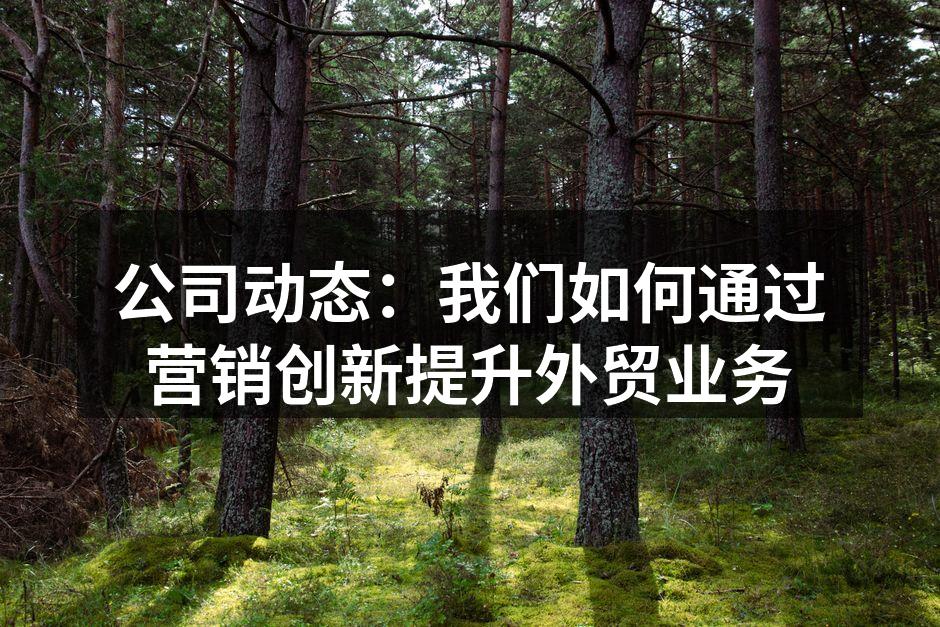 公司动态：我们如何通过营销创新提升外贸业务