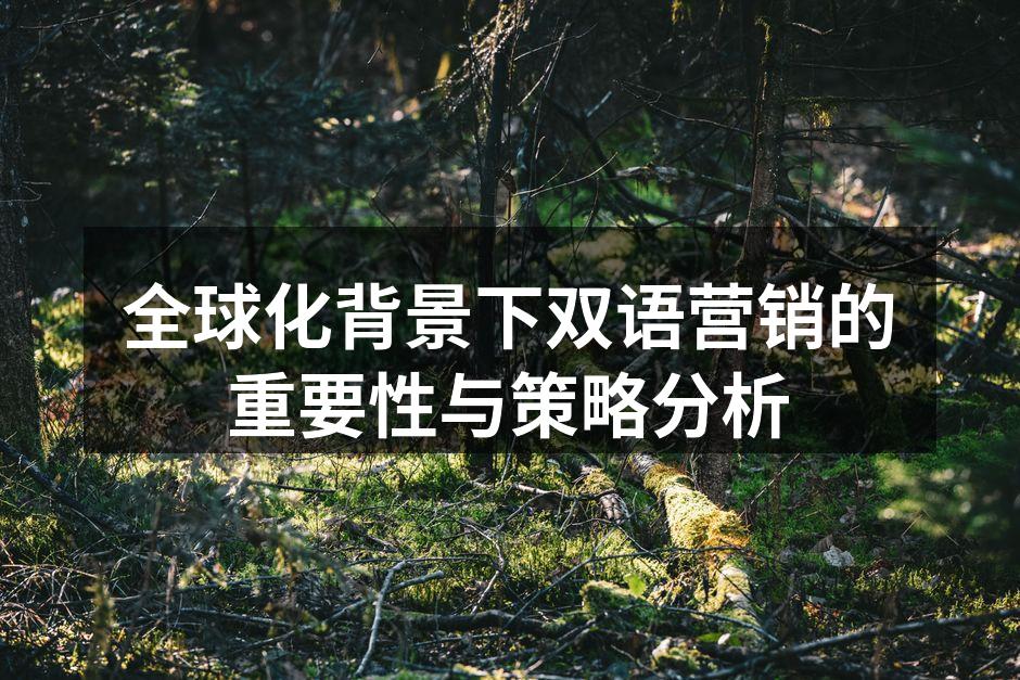双语营销助力品牌全球化
