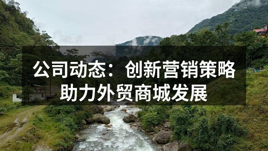 公司动态：创新营销策略助力外贸商城发展