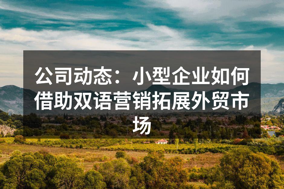 公司动态：小型企业如何借助双语营销拓展外贸市场