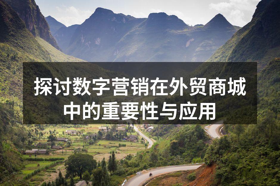 数字营销助力外贸商城成功