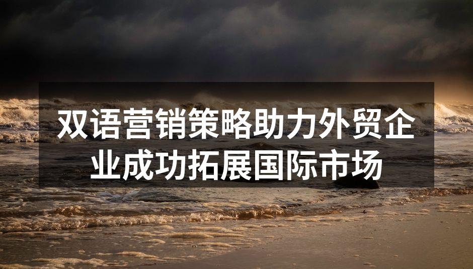 双语营销策略的应用