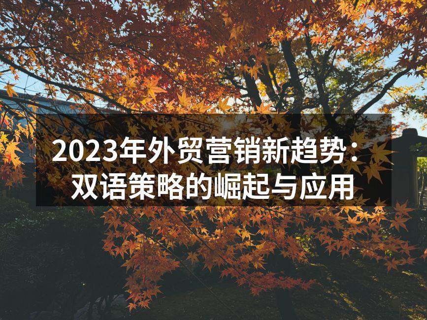 2023年外贸营销新趋势：双语策略的崛起与应用