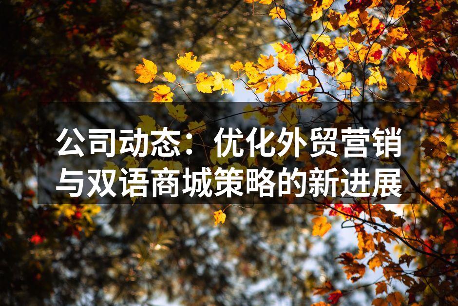 公司动态：优化外贸营销与双语商城策略的新进展