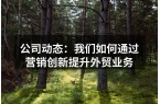 公司动态：我们如何通过营销创新提升外贸业