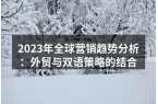 2023年全球营销趋势分析：外贸与双语策