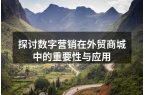 探讨数字营销在外贸商城中的重要性与应用